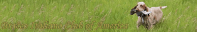 America