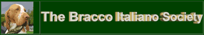 Bracco Italiano Society