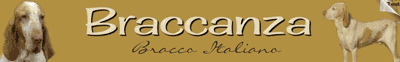 Braccanza