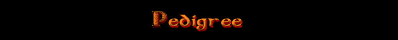 Diva Banner