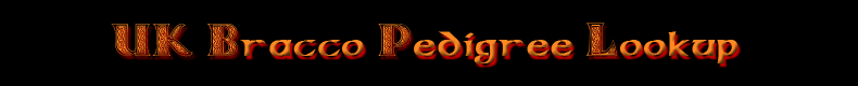Romie Banner