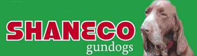 Shaneco